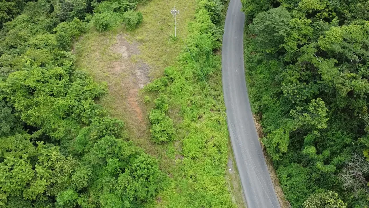 Venta de terreno 50,000 metros, Esparza, Puntarenas