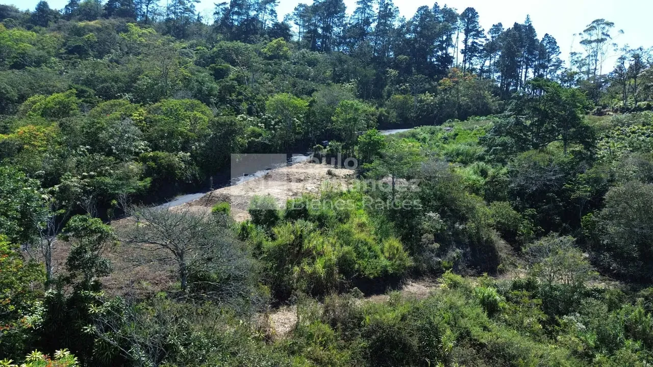 Lote con vistas - La Cima San Ramón