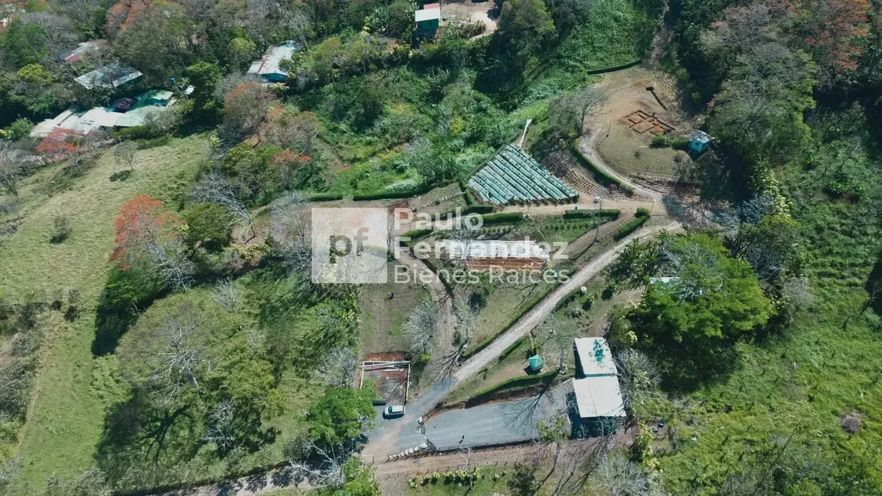 Farm / Land for Sale in Palmares, Alajuela