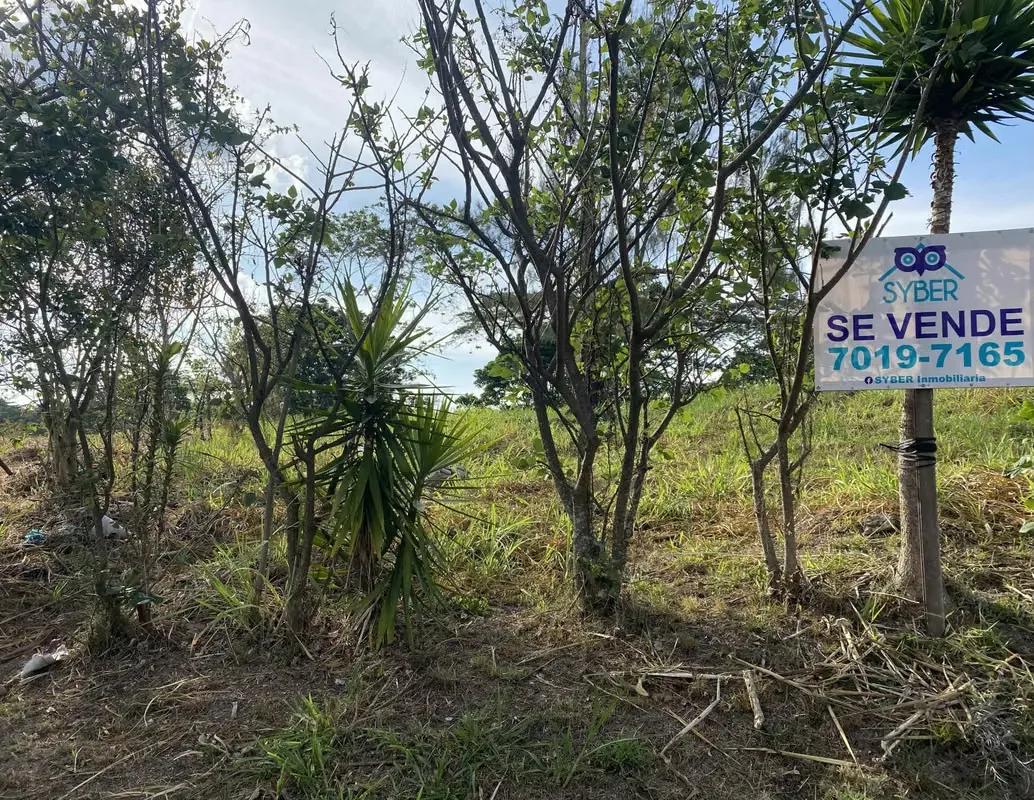 VENTA LOTE CURRIDABAT PINARES
