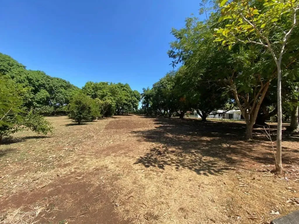Land for sale Orotina
