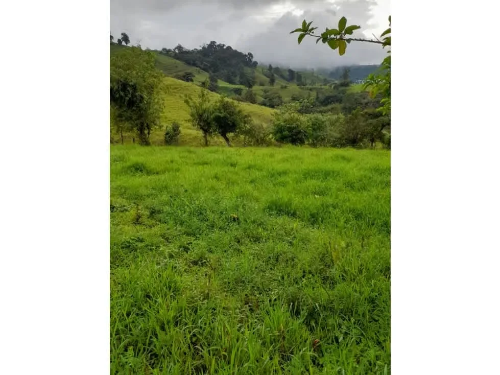 Bienvenido a este impresionante terreno ubicado en la hermosa zona de Zarcero, donde la naturaleza exuberante y las comodidades modernas se fusionan para ofrecerte una oportunidad ...