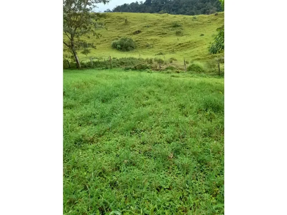 Bienvenido a este impresionante terreno ubicado en la hermosa zona de Zarcero, donde la naturaleza exuberante y las comodidades modernas se fusionan para ofrecerte una oportunidad ... — photo 2