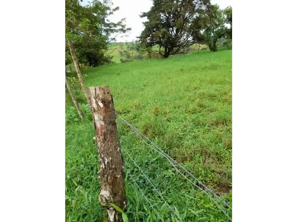Bienvenido a este impresionante terreno ubicado en la hermosa zona de Zarcero, donde la naturaleza exuberante y las comodidades modernas se fusionan para ofrecerte una oportunidad ... — photo 3