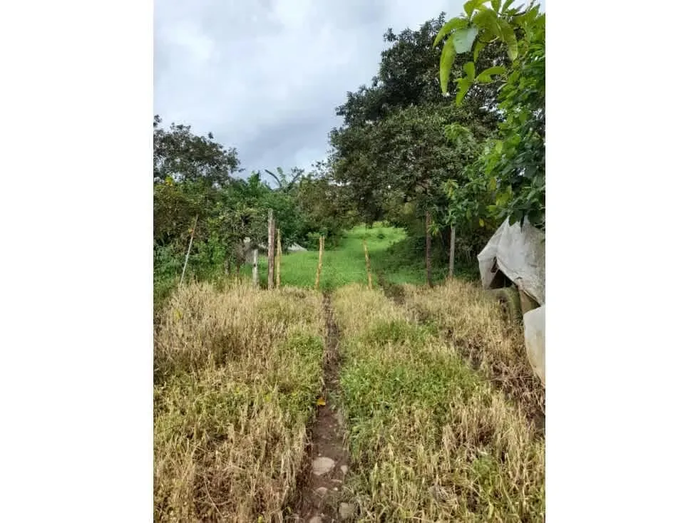 Bienvenido a este impresionante terreno ubicado en la hermosa zona de Zarcero, donde la naturaleza exuberante y las comodidades modernas se fusionan para ofrecerte una oportunidad ... — photo 5