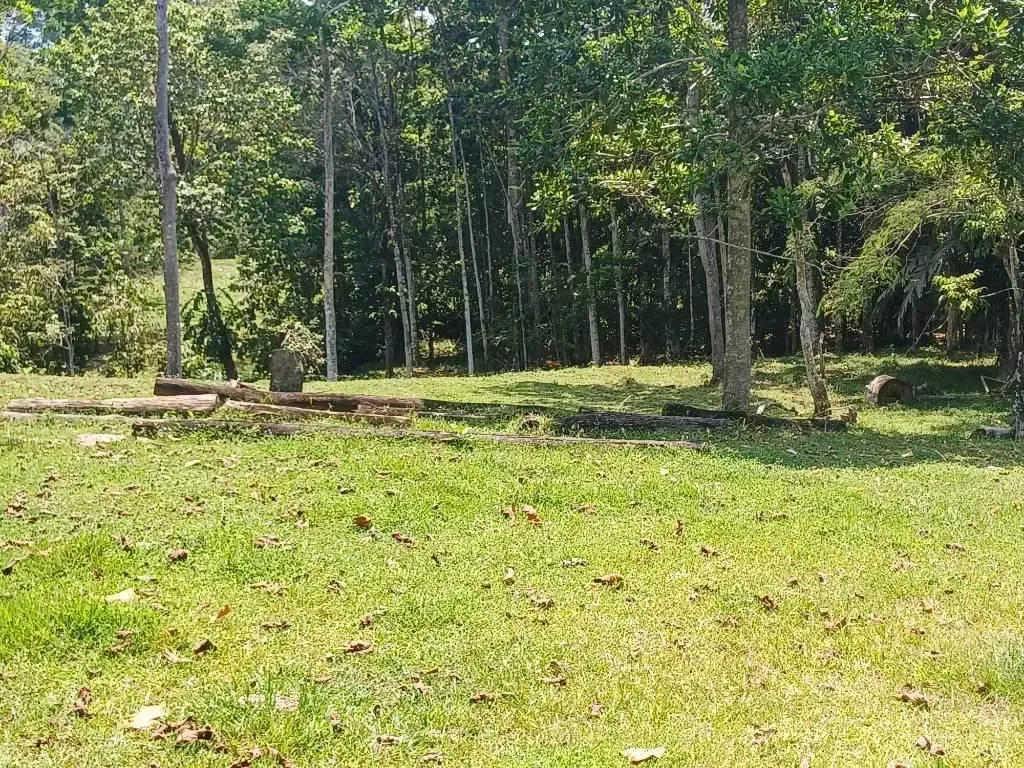 Finca Limon