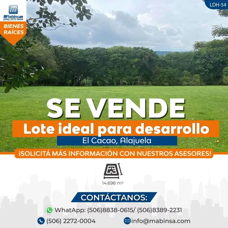 Beautiful fully flat property planted with savannah oaks, yellow bark and forest flame. Ideal lot for housing development.