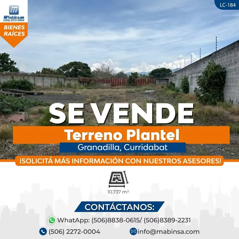 Fully flat property with a very soft slope at the bottom. Ideal lot for trade or housing development. Nearby are shops, offices, restaurants, residential condominiums
