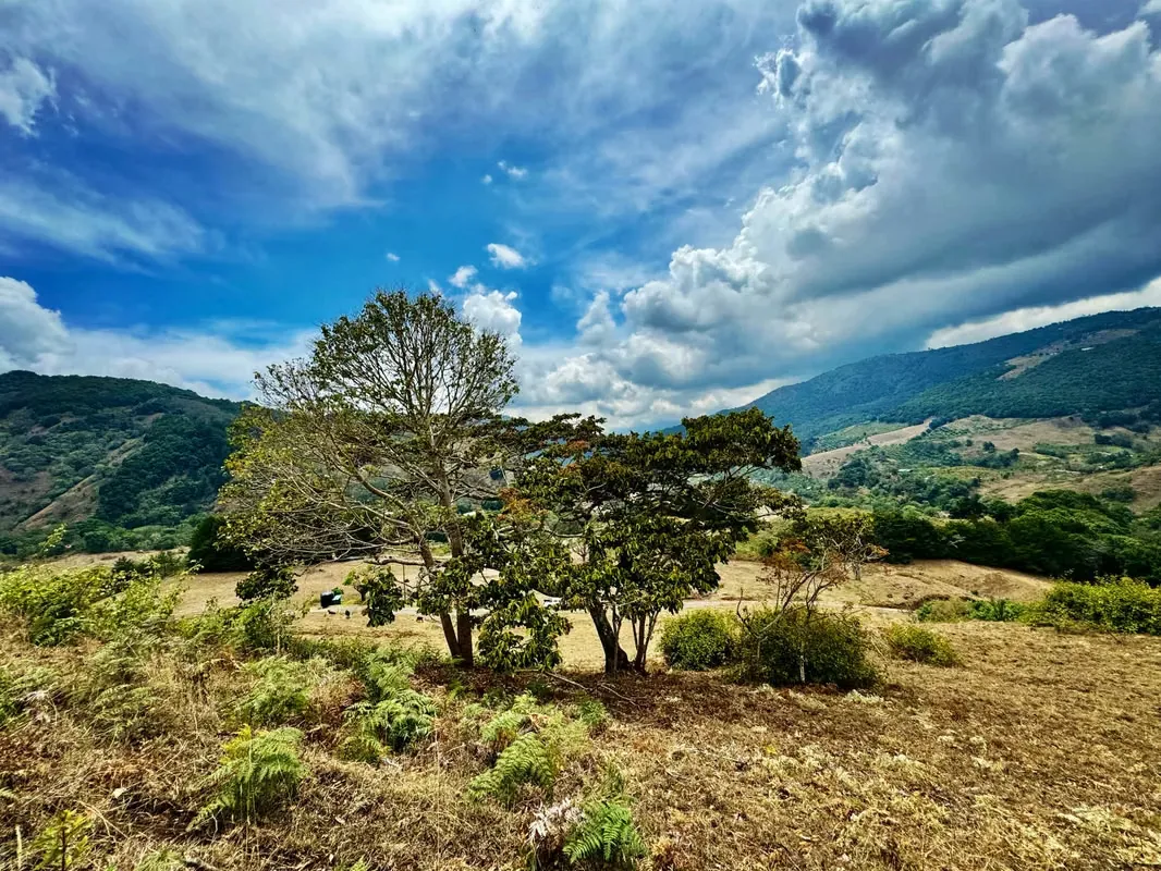 Copey de Dota - Quintas con vistas espectaculares!