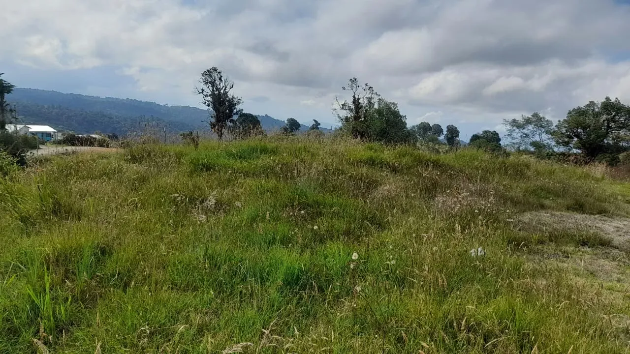 Cartago el Guarco hermoso lote de 1000 metros  con clima de montaña