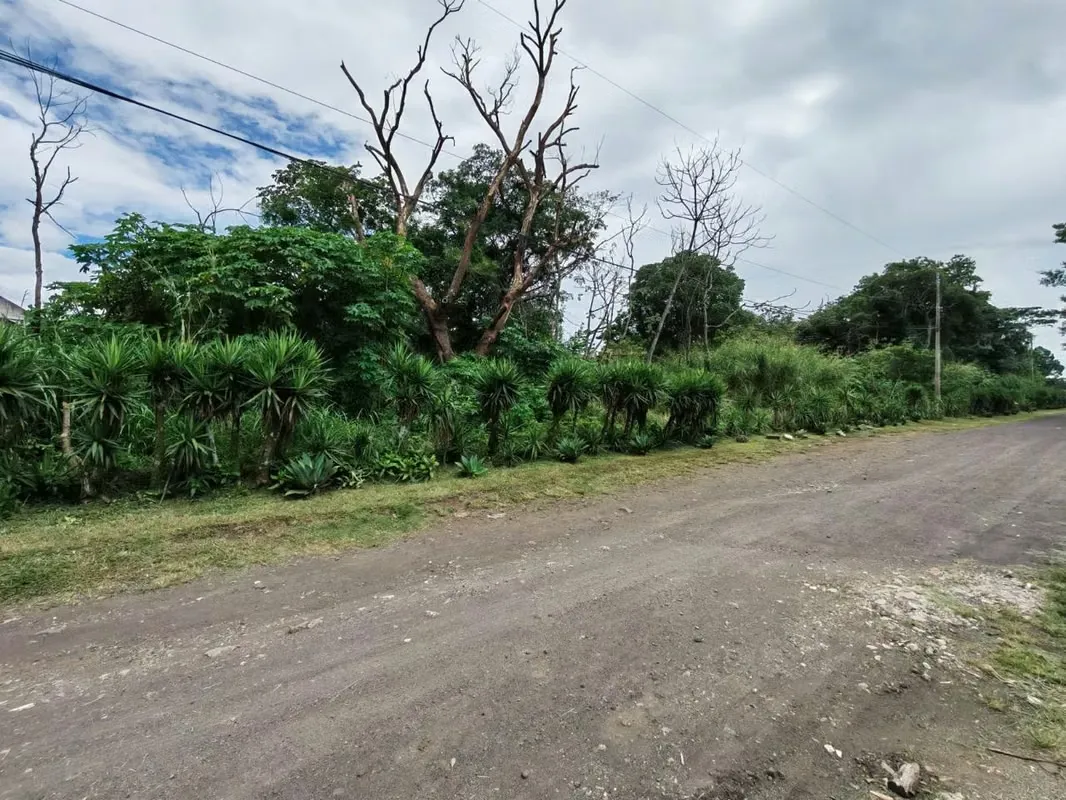 This 13,000.81 m² lot is located near Barreal de Heredia and has two access points: one 50 meters away and the other via a secondary road.