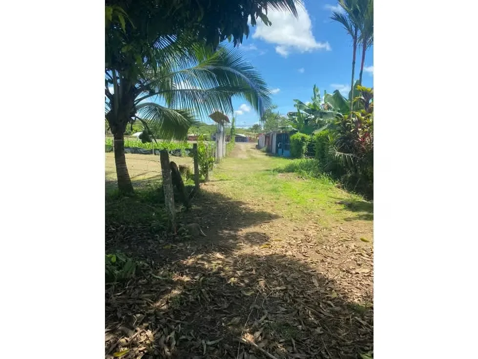 Un terreno de uso de suelo mixto en Río Frío de Sarapiquí ofrece una oportunidad única para el desarrollo residencial o comercial en una ubicación naturalmente hermosa. Ubicado en ...
