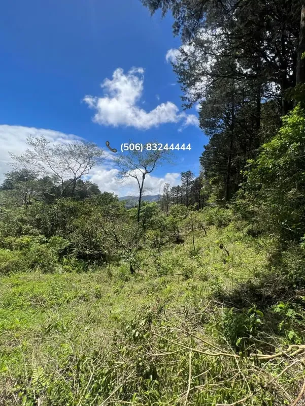 LOT FOR SALE IN CARTAGO, QUEBRADILLA