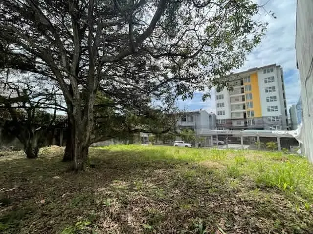 Spectacular lot for sale en San Pedro — photo 3