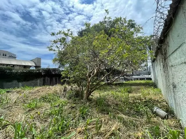 Spectacular lot for sale en San Pedro — photo 4