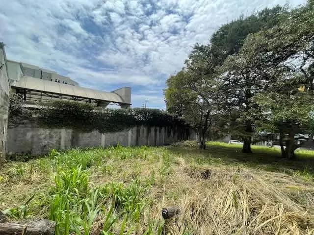 Spectacular lot for sale en San Pedro — photo 5