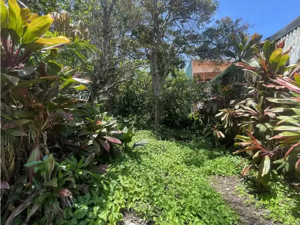 Venta de terreno con casa de 2495m2, en Santo Tomás de Santo Domingo de Heredia. — photo 2