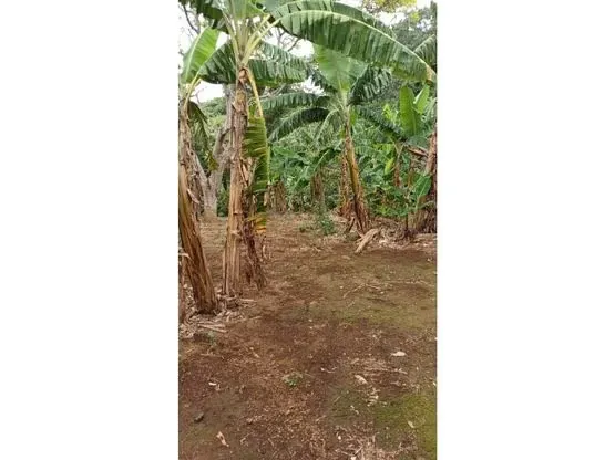 Lote en Venta Santa Bárbara de Heredia