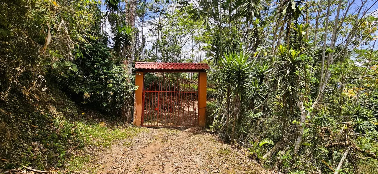 Farm for Sale in Puriscal Panoramic Views Natural Springs — photo 2