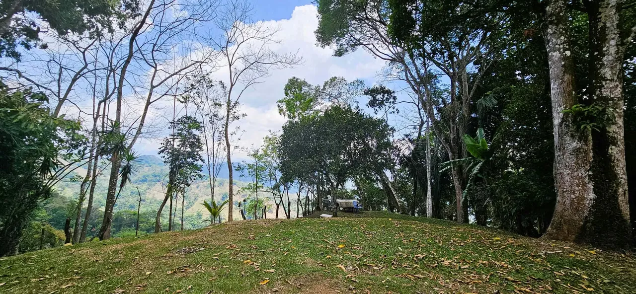 Farm for Sale in Puriscal Panoramic Views Natural Springs — photo 4