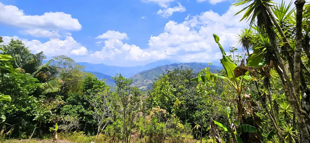 Farm for Sale in Puriscal Panoramic Views Natural Springs — photo 5