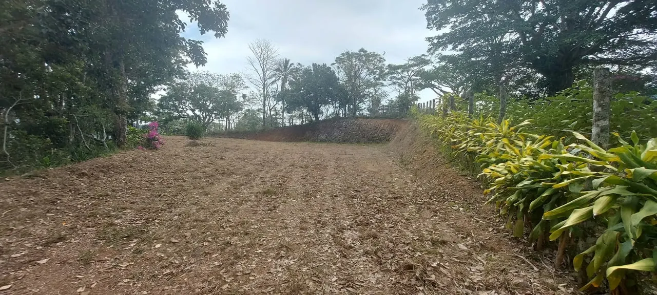 Lote en venta en Atenas, con vistas y pozo de agua, $25 por m2