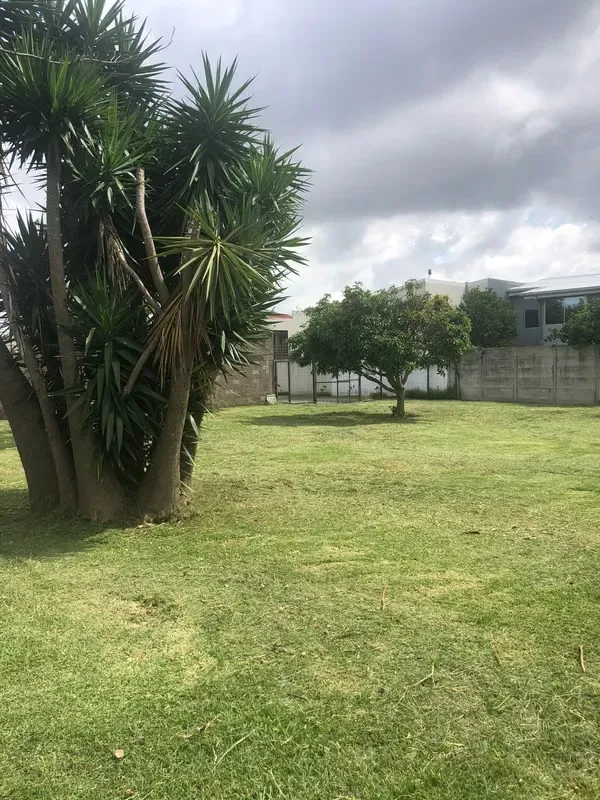 Completely flat 700m² lot for sale in Santo Domingo, less than 200 meters from the supermarket. Located in a very secure gated community. — photo 3