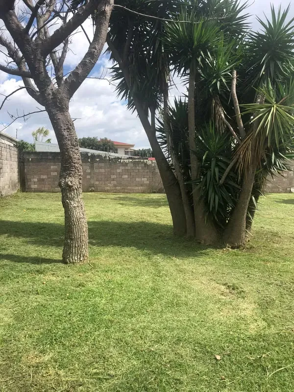 Completely flat 700m² lot for sale in Santo Domingo, less than 200 meters from the supermarket. Located in a very secure gated community. — photo 4