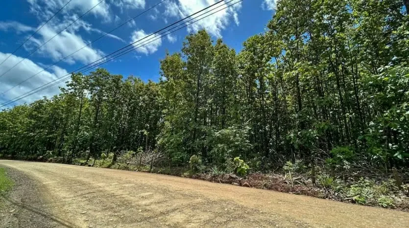 Discover these lots for sale near Avellanas. These versatile properties vary in size from 891.38m2 to 1191.42m2 and can be combined to create a larger finca tailored to ...
