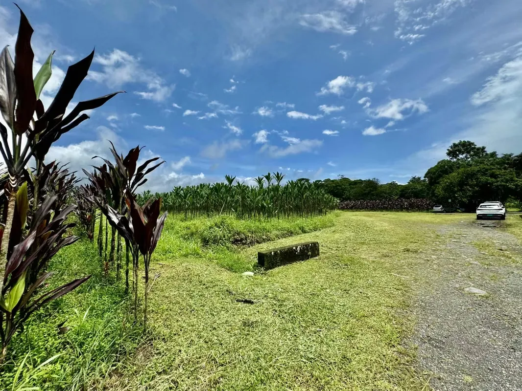 Outstanding Opportunity | Farm for Sale in Guápiles - Limón — photo 2