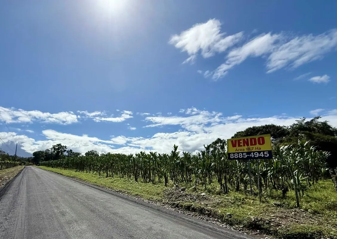 Outstanding Opportunity | Farm for Sale in Guápiles - Limón — photo 3