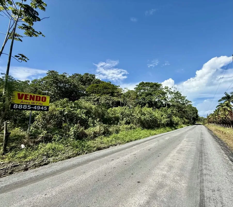 Outstanding Opportunity | Farm for Sale in Guápiles - Limón — photo 4