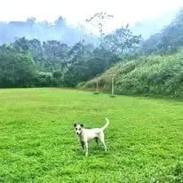 Venta finca San Ramón San Lorenzo ecológica FINANCIAMIENTO DISPONIBLE