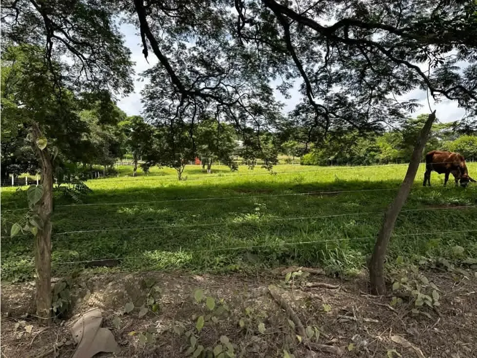 VENTA DE LOTE, ALAJUELA, ALAJUELA, TURRUCARES