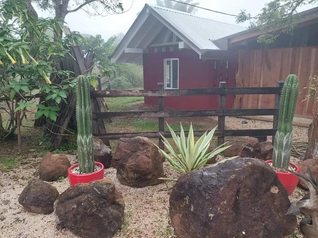Finca Orgánica Cerca de Nosara - Ideal para Proyectos Sostenibles
