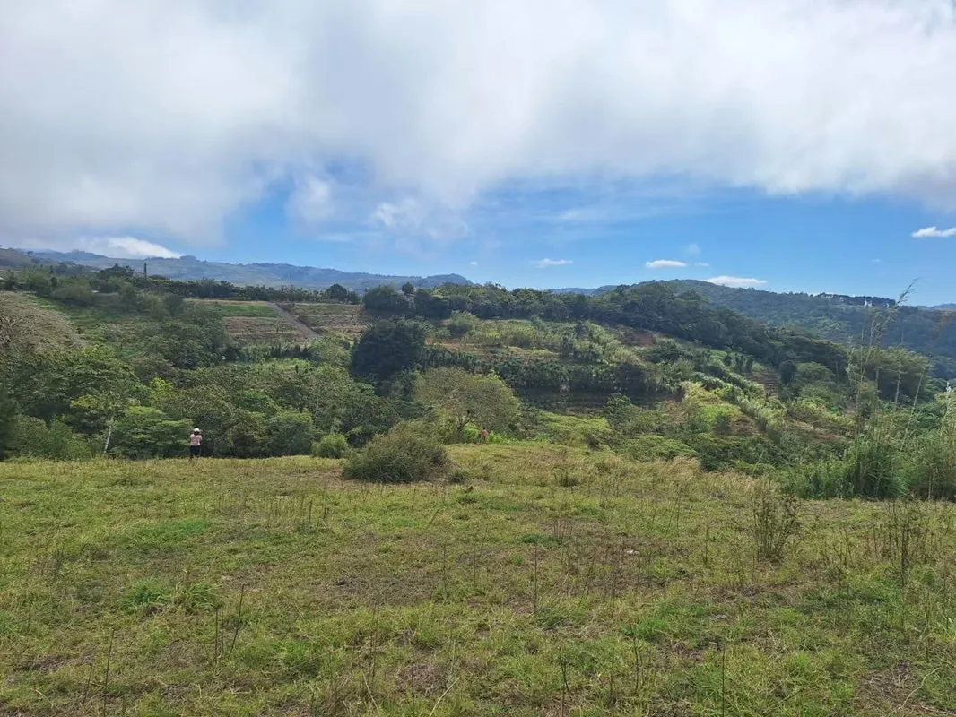 Se vende finca Volio, San Ramon, Alajuela