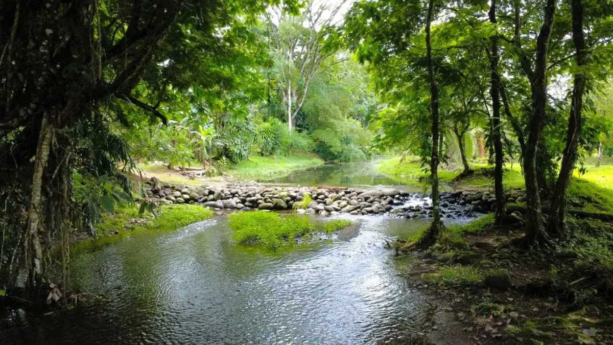 Venta de Finca en Horquetas de Sarapiquí