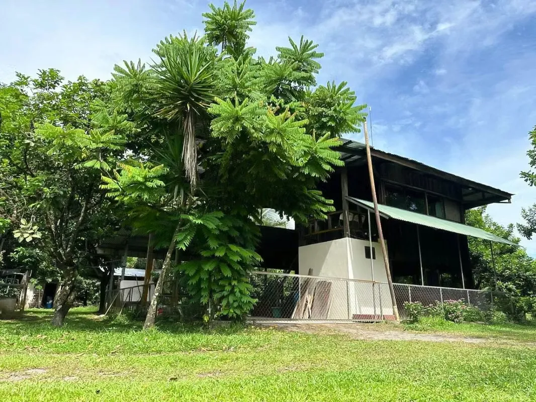 FOR SALE: BEAUTIFUL STATE IN HORQUETAS DE SARAPIQUÍ, COSTA RICA — photo 3