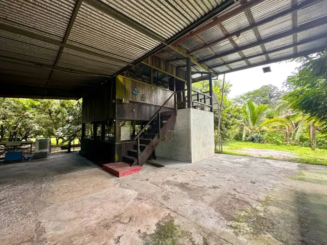 FOR SALE: BEAUTIFUL STATE IN HORQUETAS DE SARAPIQUÍ, COSTA RICA — photo 5