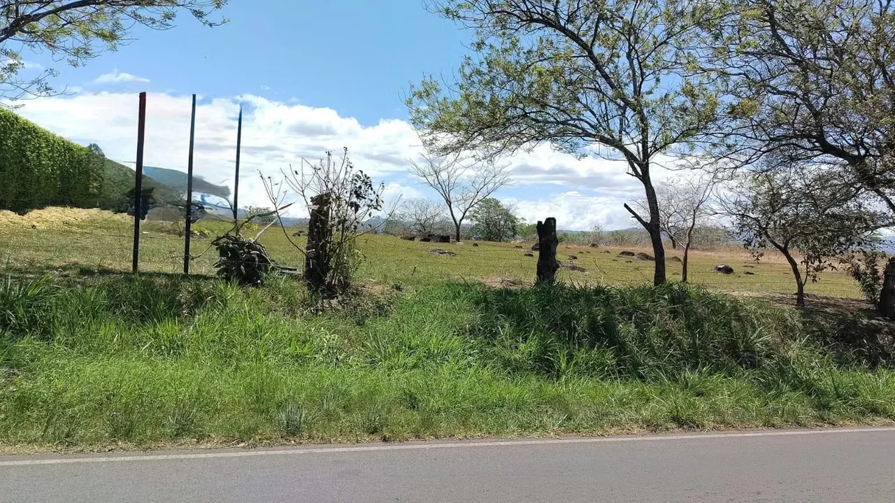 Lot with flat topography, use of semi-urban soils with a maximum constructive coverage of 20%., photo 2