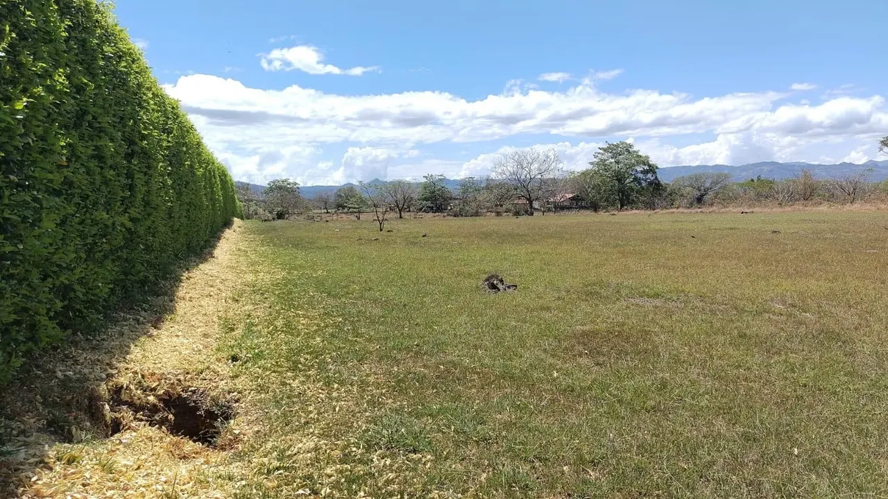Lot with flat topography, use of semi-urban soils with a maximum constructive coverage of 20%., photo 5