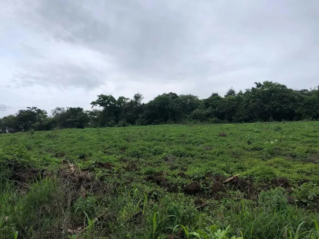 Privileged location: This land of 7,000 m2 is located in one of the most popular areas of San Rafael, Heredia, surrounded by nature and with spectacular views of the city. Enjoy the ...