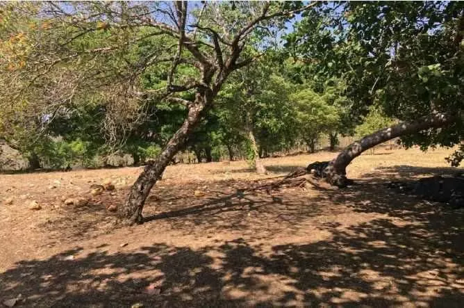 Terreno en Garabito, Barrio Los Cuarros