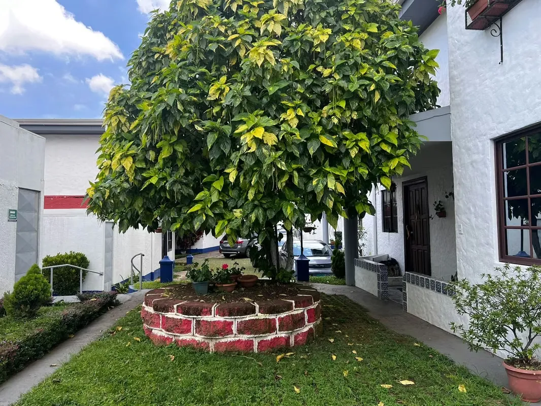 Located in San Pablo de Heredia, in Condominio Oropel — photo 2