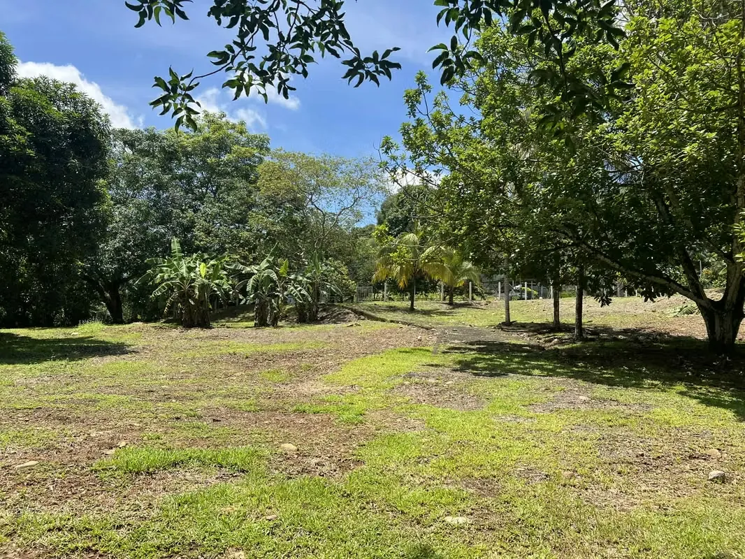 SE VENDE TERRENO EN OROTINA DESARROLLO TURÍSTICO O URBANÍSTICO