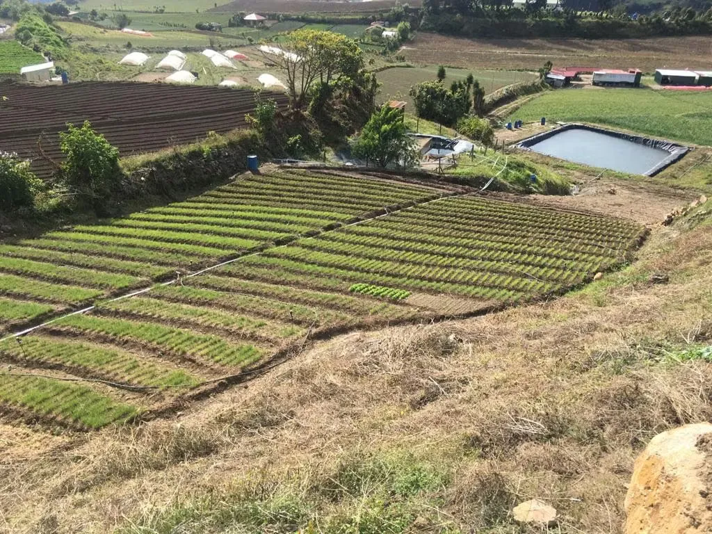 Farm for Sale in Tierra Blanca, Cartago ID 15030