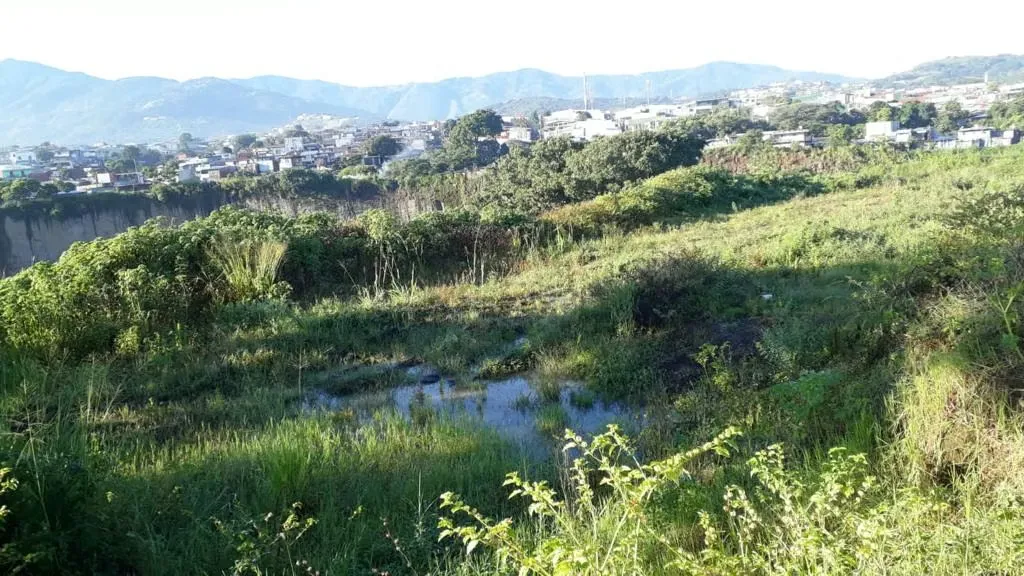 Industrial Land for sale in La Uruca 14970 — photo 3