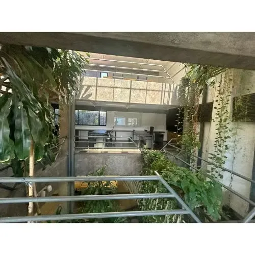 GREEN BUILDING RENTAL, SAN JOSE, CABBAGE