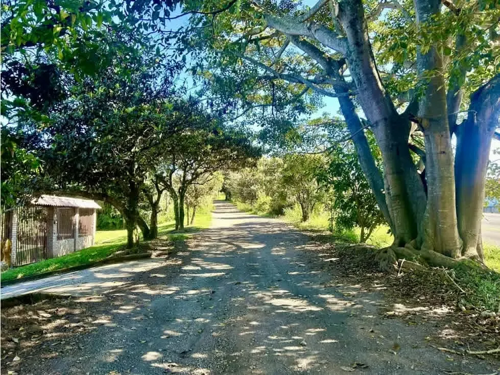 VENTA DE LOTE USO MIXTO, HEREDIA, SANTO DOMINGO, SAN MIGUEL