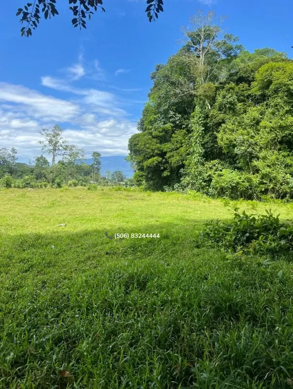 PROPERTY FOR SALE IN POCORA, GUACIMO, LIMON